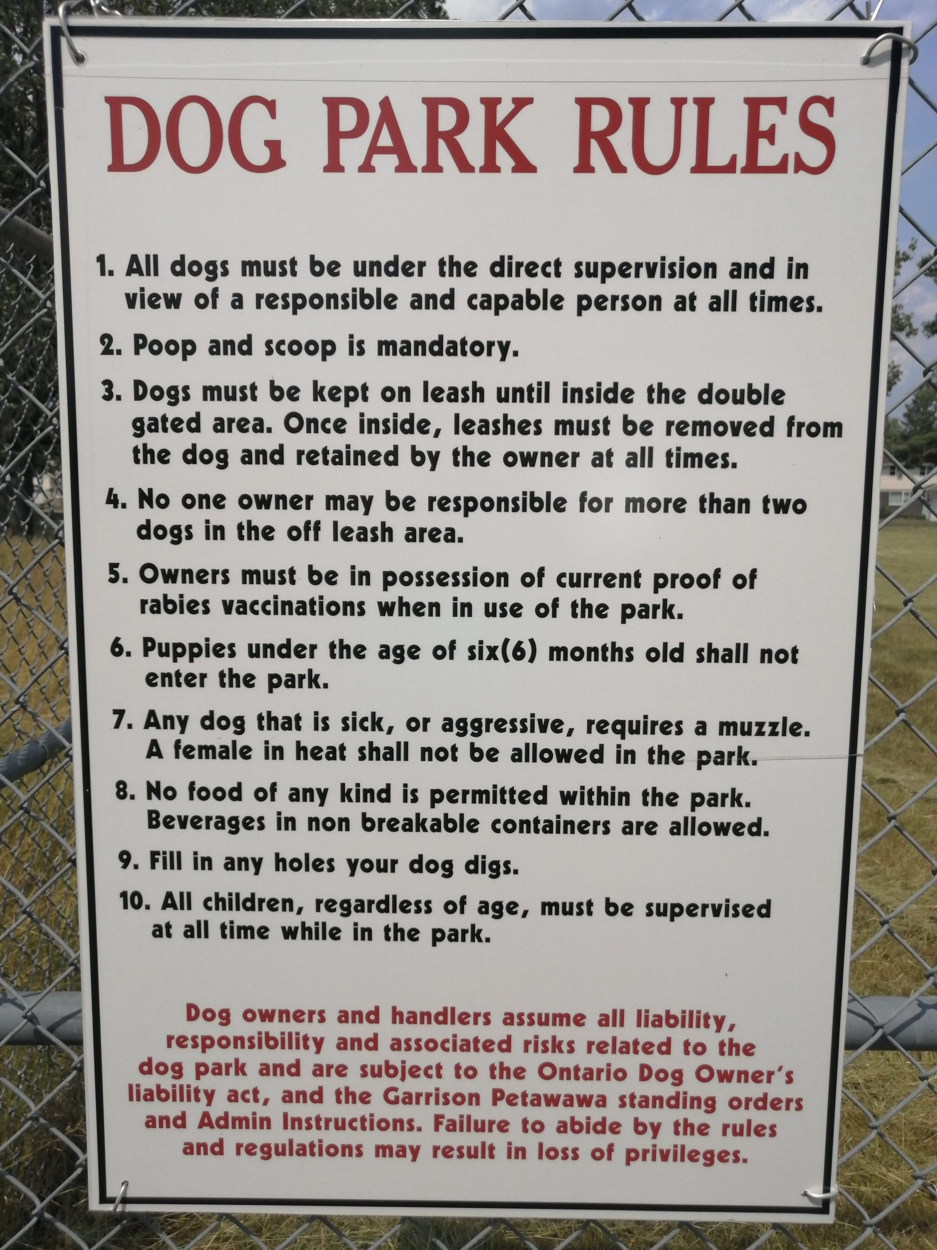 Muzzle at dog park sale